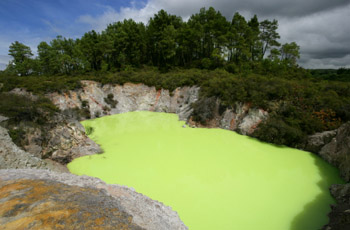 Lake Ngakoro Rotorua