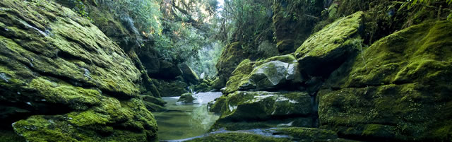 West Coast Panorama